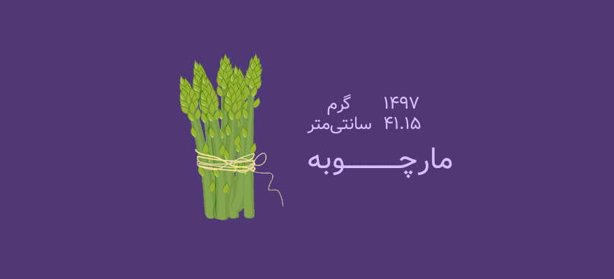 هفته سی و یکم بارداری