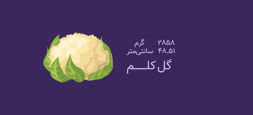 هفته سی و هفتم بارداری